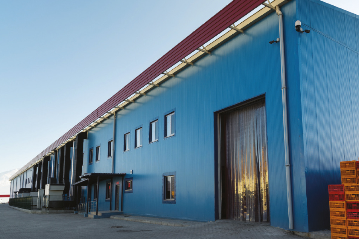 Real estate investors warm to cold storage