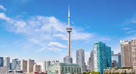 Picture of the Company