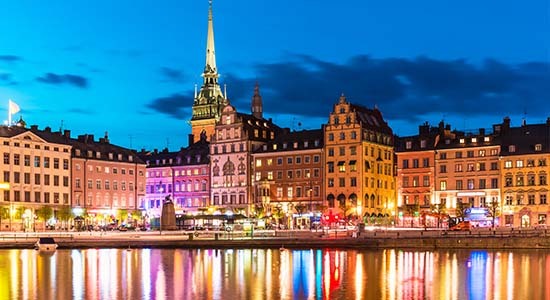 Picture of the Company