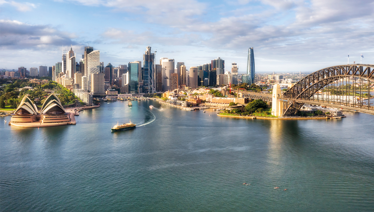 Picture of the Company