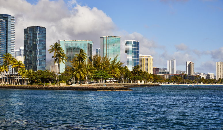 Picture of the Company