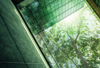 Brown-to-green funds offer a much-needed narrative for adding value A large tree radiates green light onto the glass windows of a building.