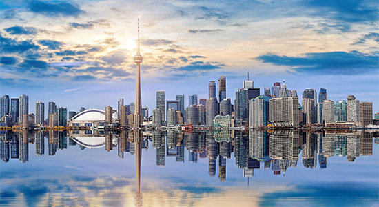 Picture of the Company