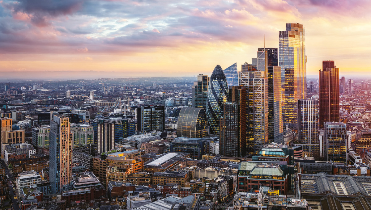 Picture of the Company