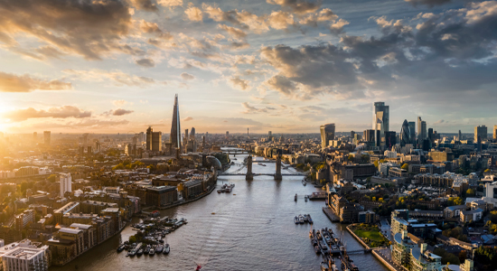 Picture of the Company