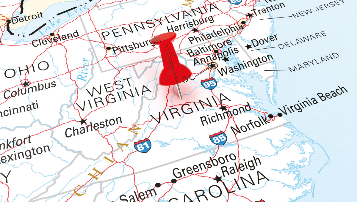 Picture of the Company