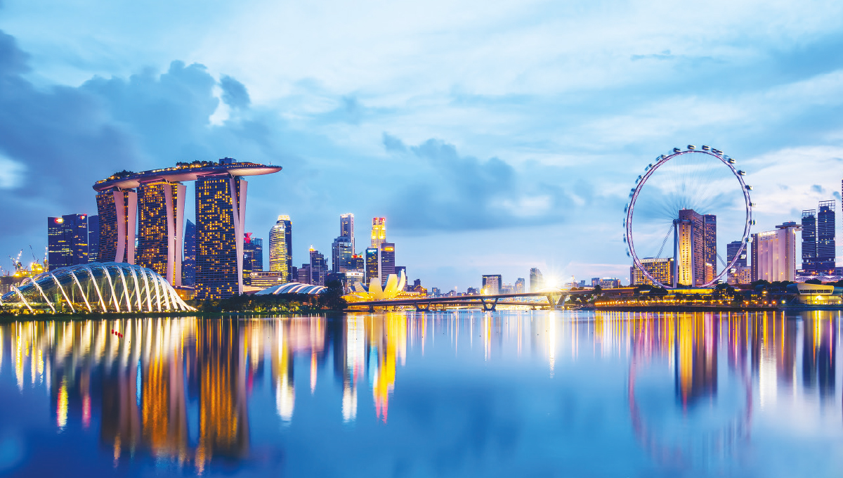 Picture of the Company