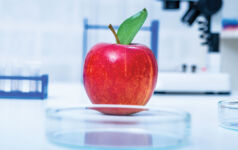 Genetic breeding of vegetables in lLaboratory , analyzing food quality,