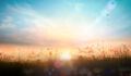 Core’s ‘new dawn’ illuminates an updated playbook Sunrise