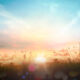 Coreโs โnew dawnโ illuminates an updated playbook Sunrise