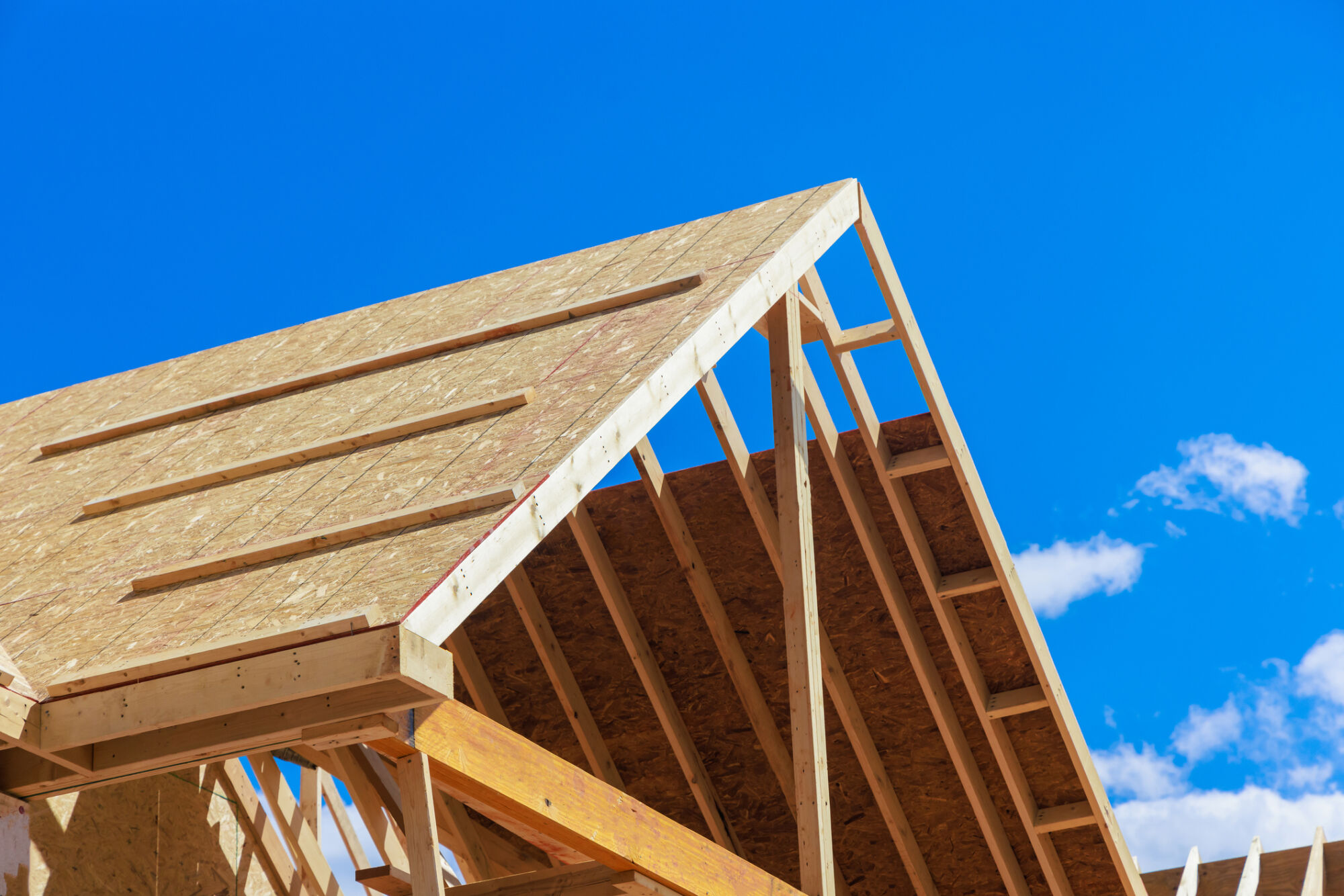 Picture of the Company