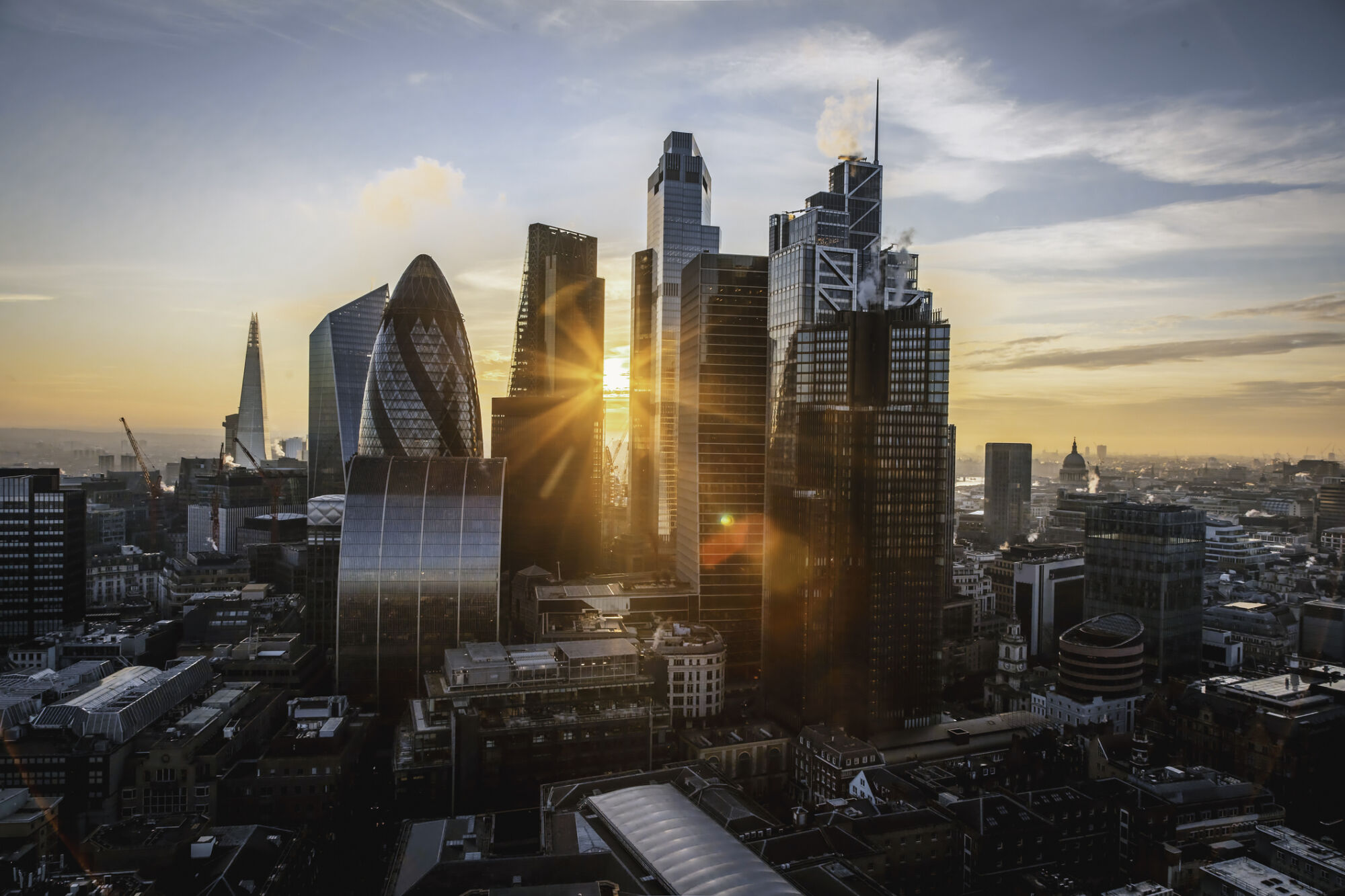 Picture of the Company