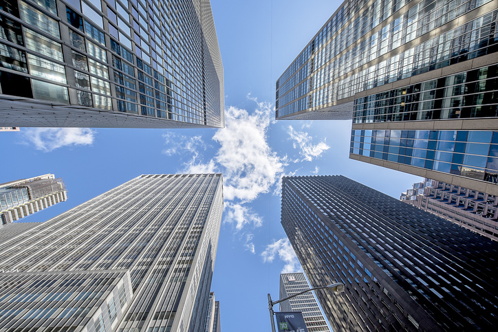 Picture of the Company