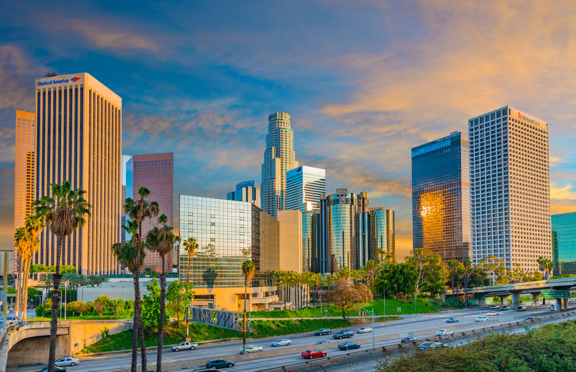 Picture of the Company