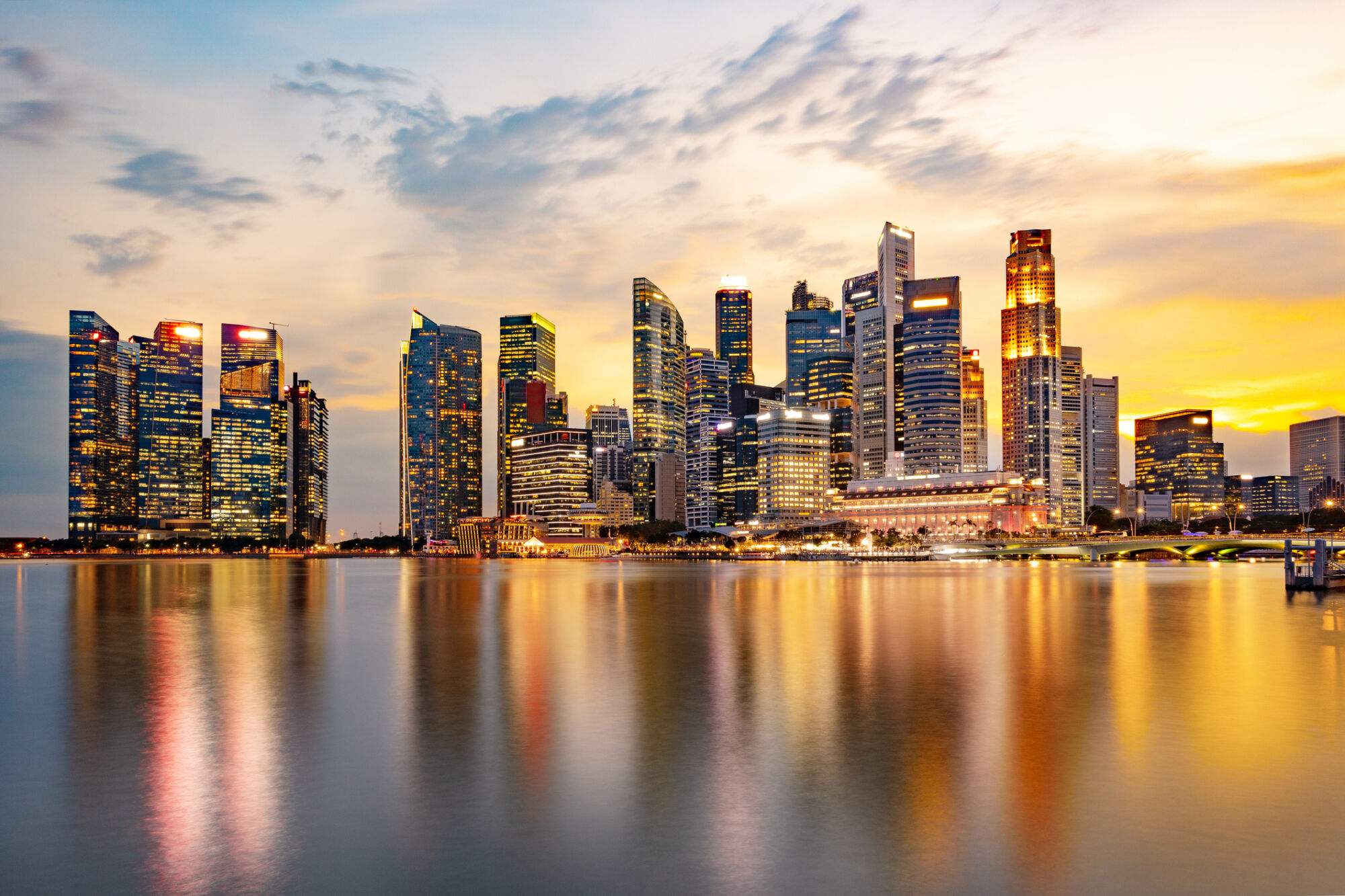 Picture of the Company