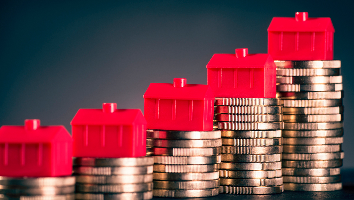 Picture of the Company