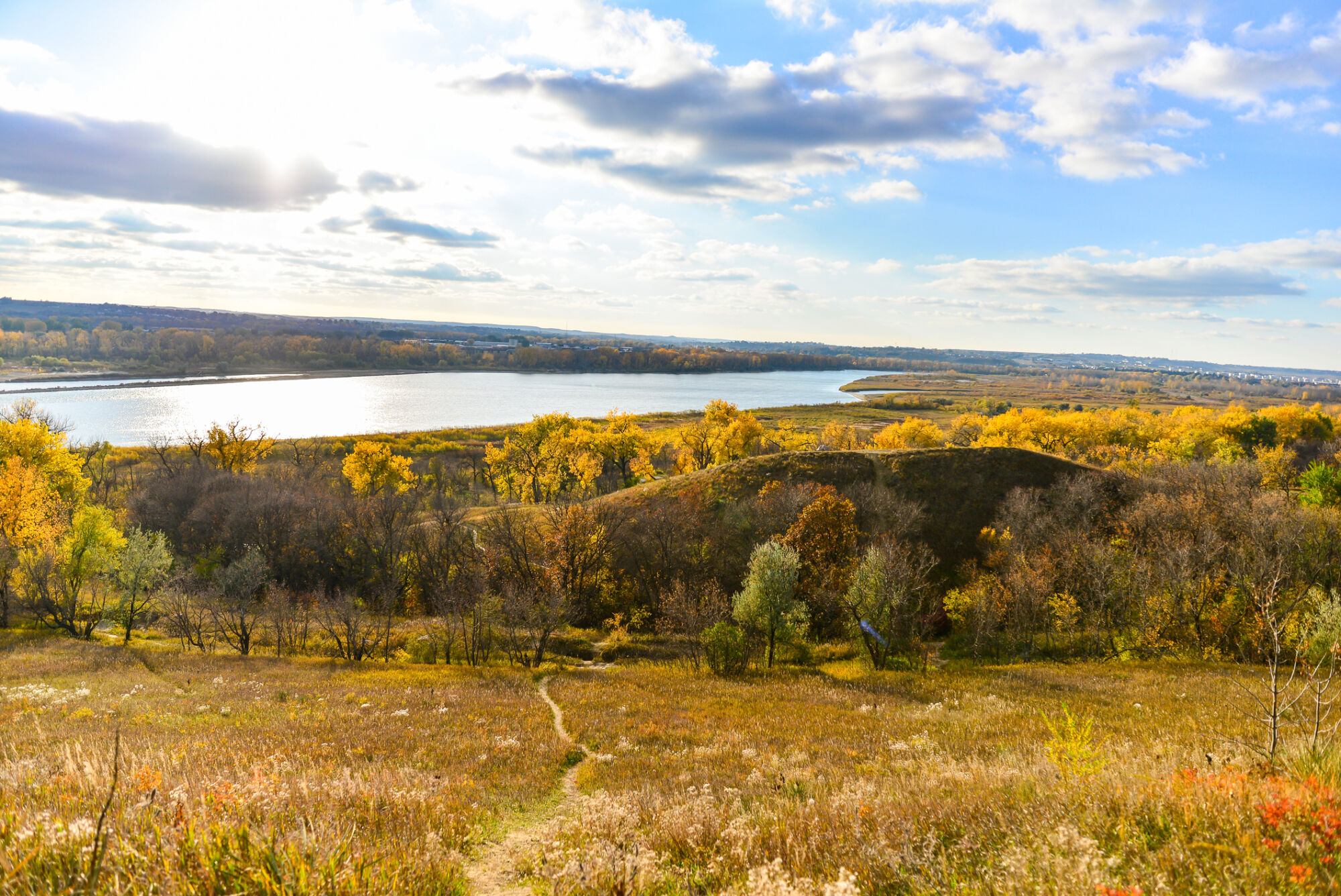 Picture of the Company