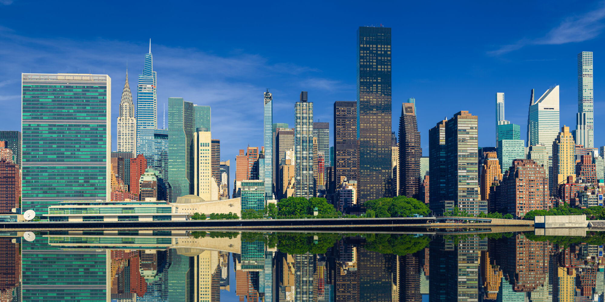 Picture of the Company