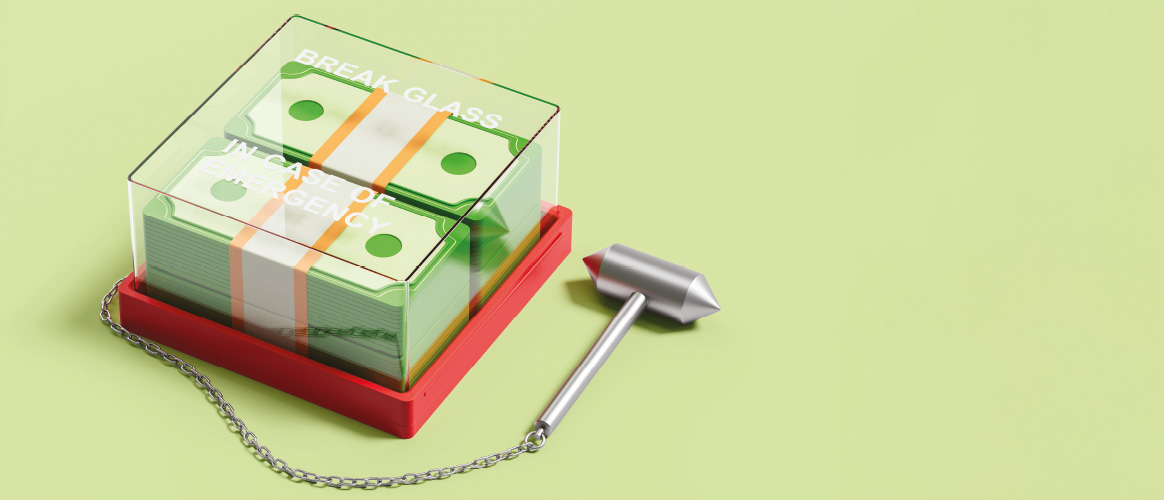 Picture of the Company