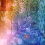 Sustainability: Managers double down on value creation and metrics Private Markets 2030 sustainability theme banner