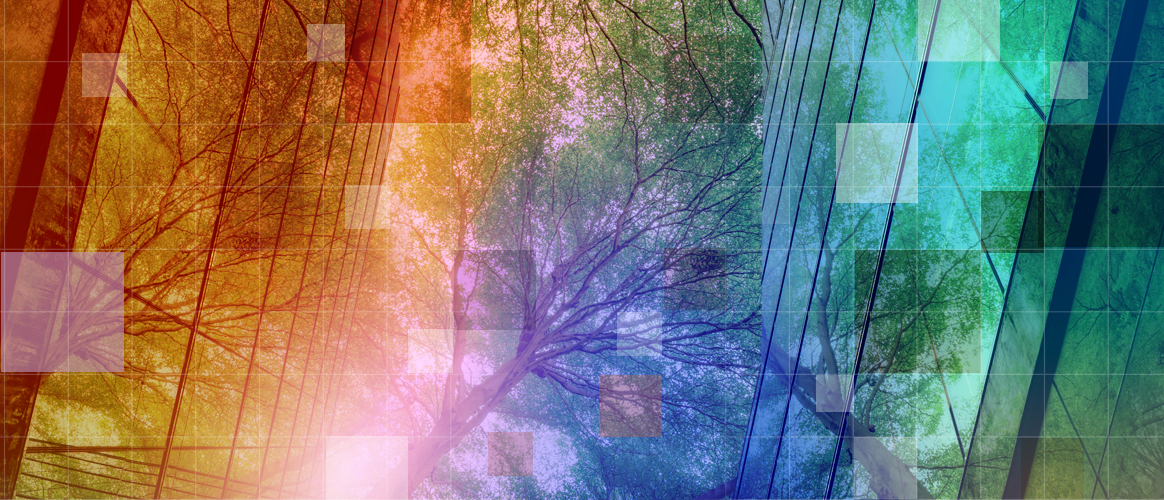 T9_PM2030_Sustainability Private Markets 2030 sustainability theme banner