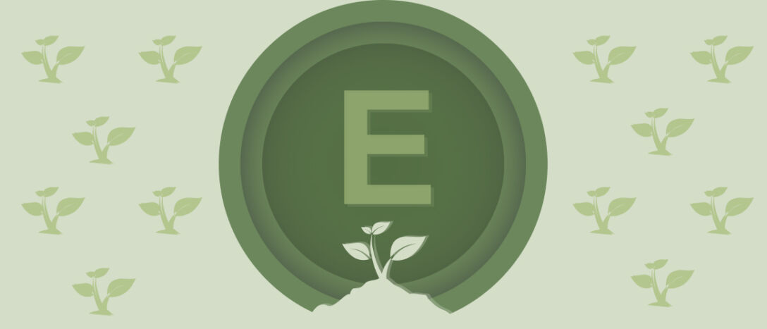 E for environment in ESG, T9