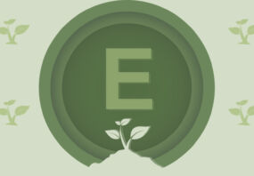 E for environment in ESG, T9