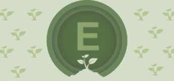 E for environment in ESG, T9
