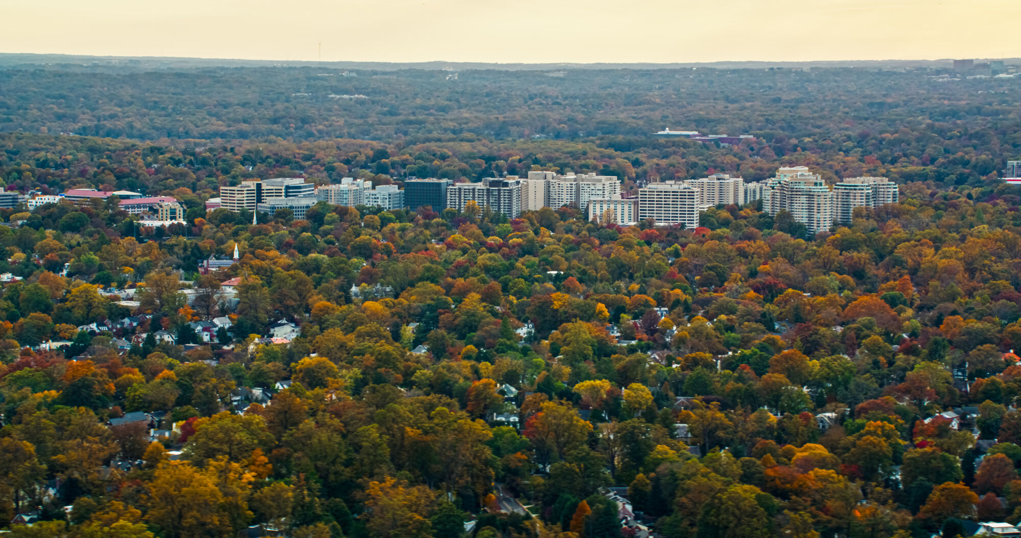 Picture of the Company