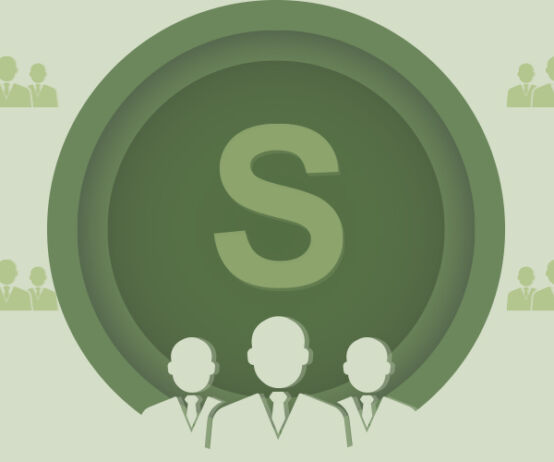 S for social in ESG, T9