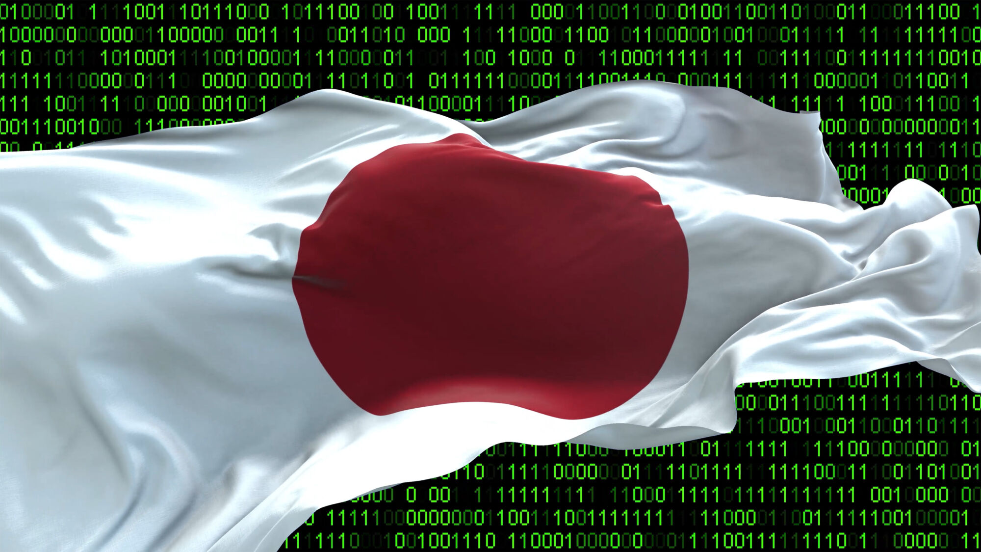 Picture of the Company