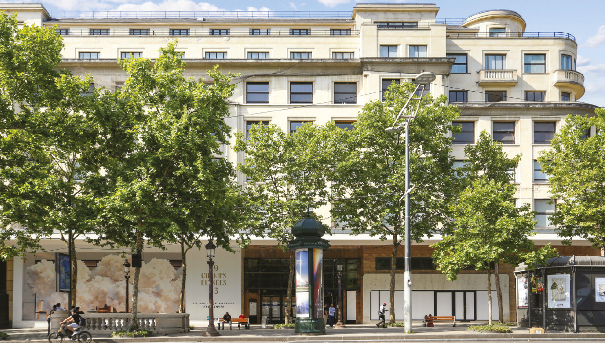 Picture of the Company