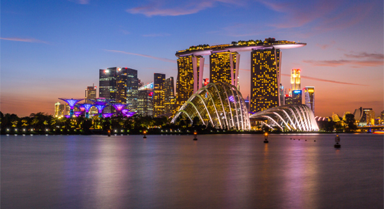 Picture of the Company