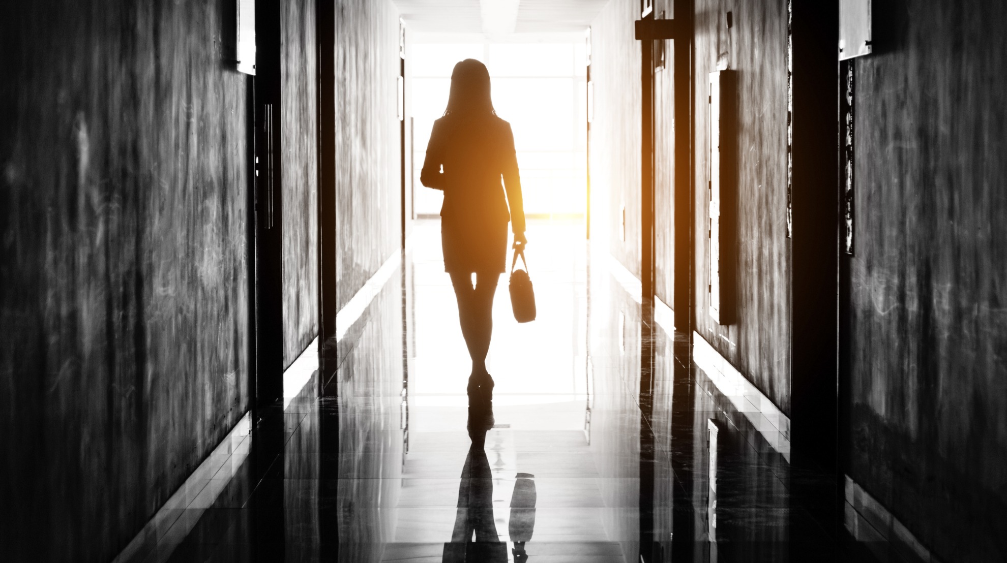 Picture of the Company