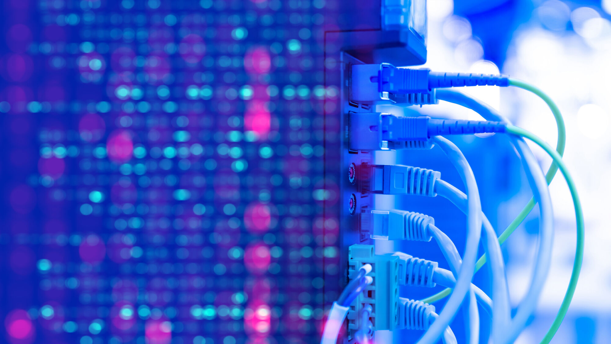 Picture of the Company