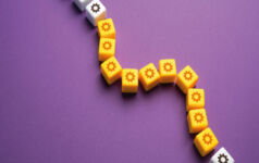Image of blocks with pictures of cogs.