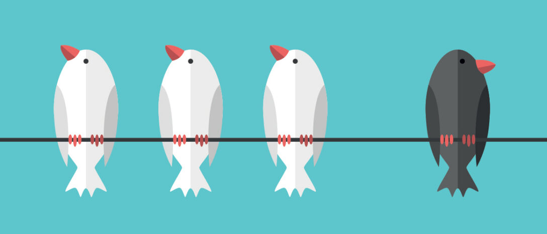 BIrds-T9