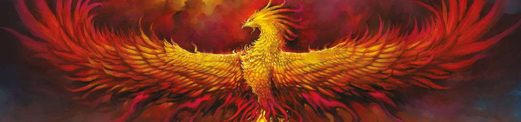 1062x250_phoenix retail